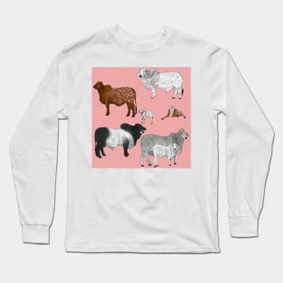 Brahman Cattle Pink Long Sleeve T-Shirt